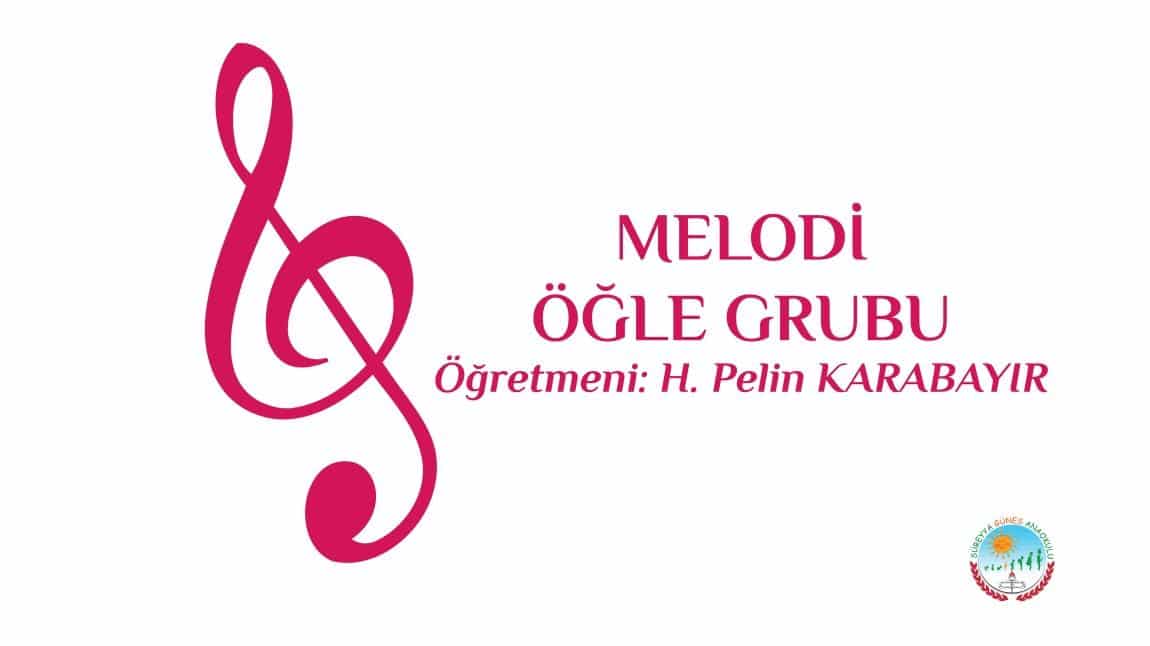 MELODİ ÖĞLE GRUBU-5C