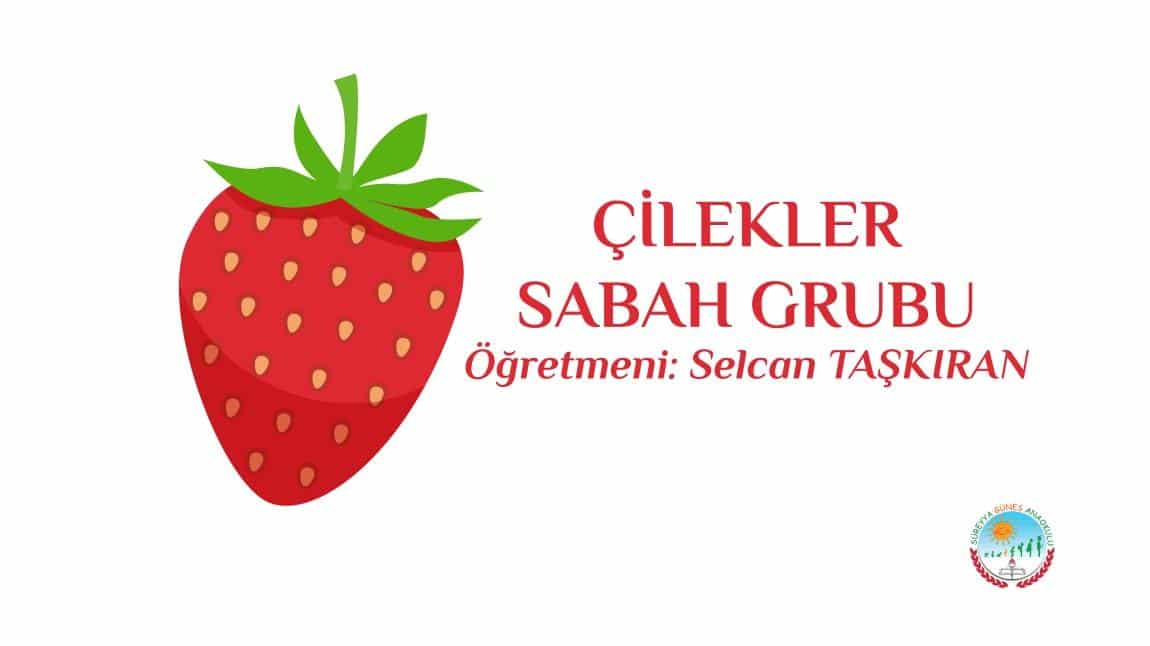 ÇİLEKLER SABAH GRUBU-4B