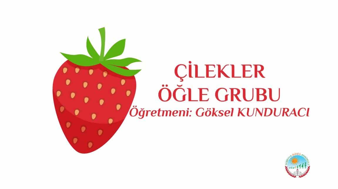 ÇİLEKLER ÖĞLE GRUBU-5E