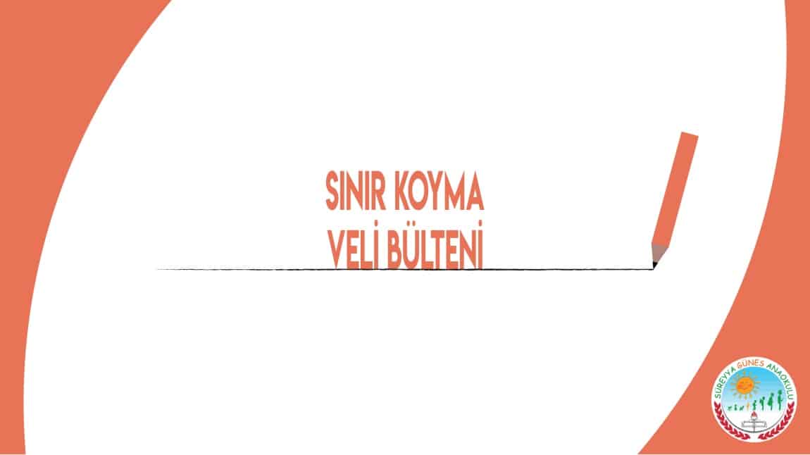 SINIR KOYMA VELİ BÜLTENİMİZ YAYINDA...